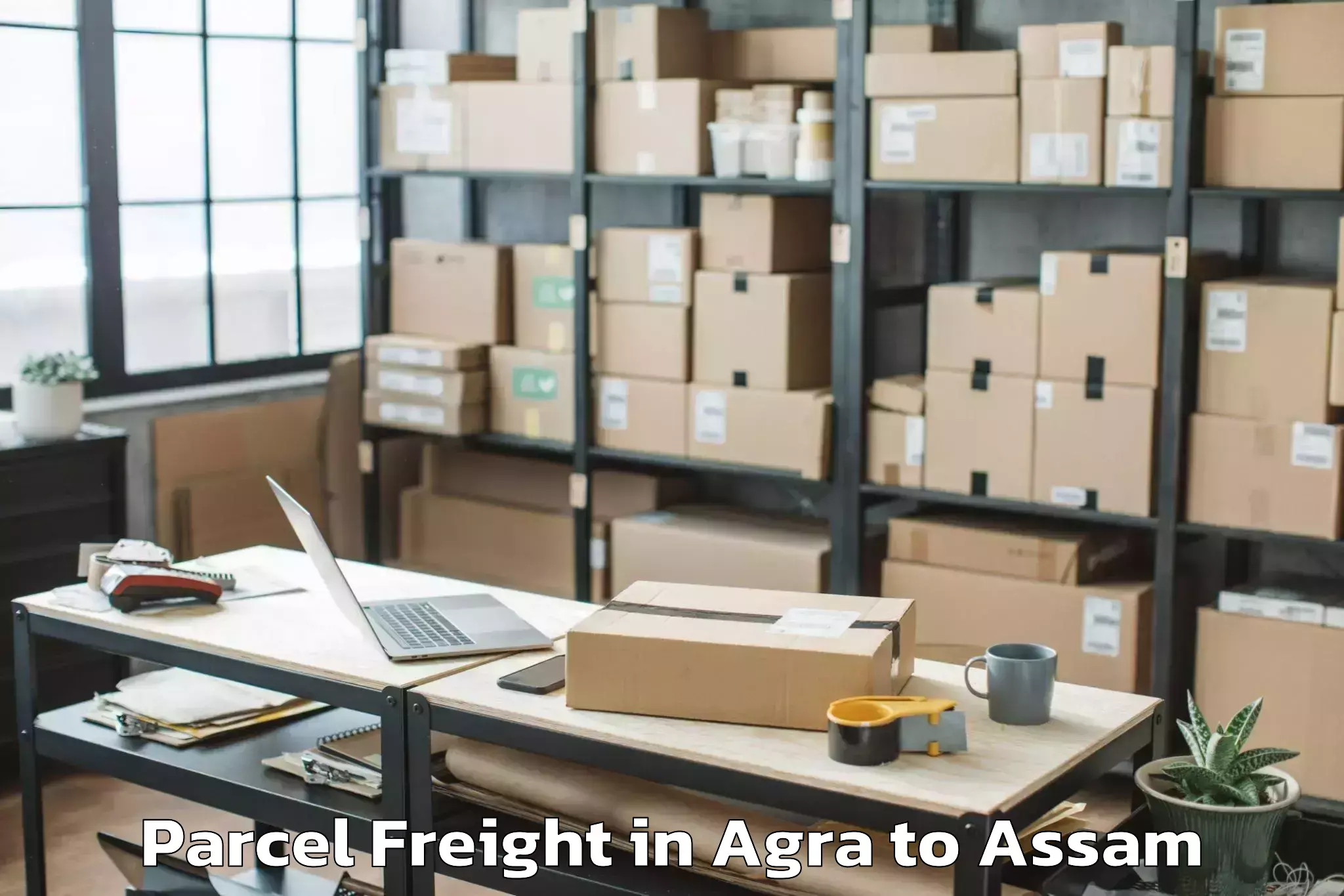 Affordable Agra to Lakhipur Parcel Freight